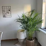 Charming In On 72 M² *