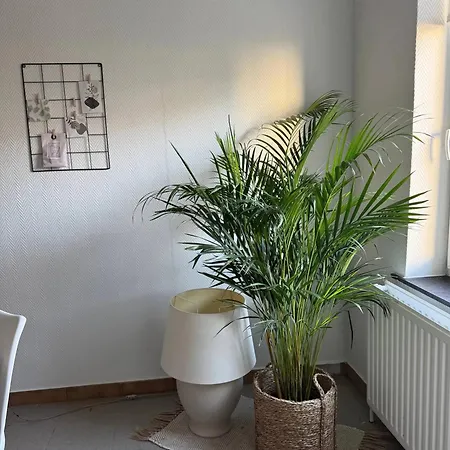 Charming Apartment In Lontzen On 72 M² *