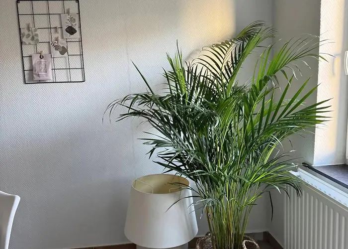 Charming Apartment In Lontzen On 72 M² *